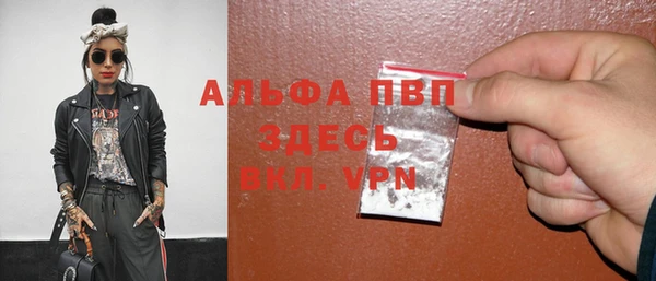 гидра Кедровый