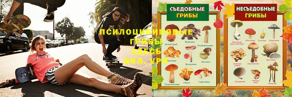 mdpv Кизел