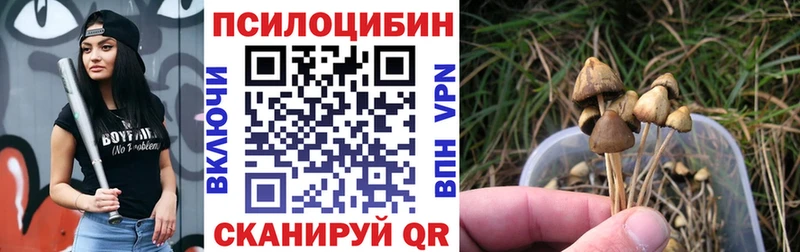 Галлюциногенные грибы Psilocybine cubensis  Мариинский Посад 